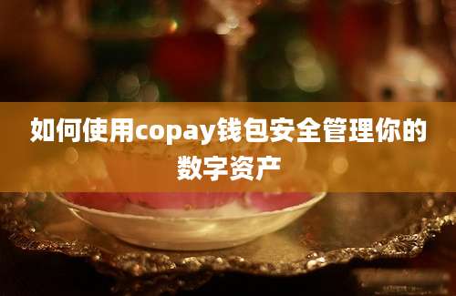 如何使用copay钱包安全管理你的数字资产