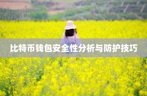 比特币钱包安全性分析与防护技巧