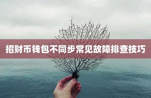 招财币钱包不同步常见故障排查技巧