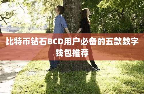 比特币钻石BCD用户必备的五款数字钱包推荐