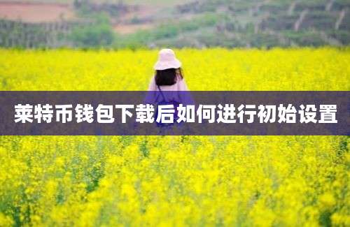 莱特币钱包下载后如何进行初始设置