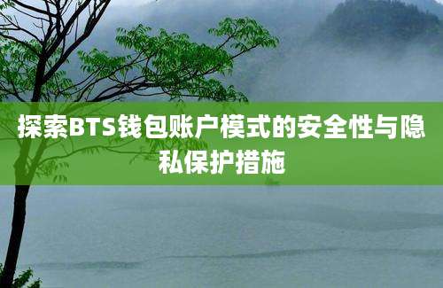 探索BTS钱包账户模式的安全性与隐私保护措施