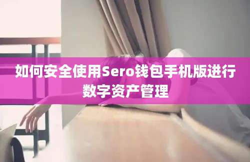 如何安全使用Sero钱包手机版进行数字资产管理