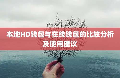 本地HD钱包与在线钱包的比较分析及使用建议