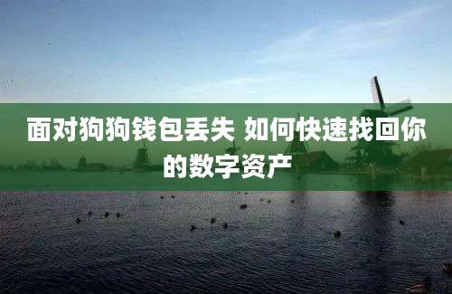 面对狗狗钱包丢失 如何快速找回你的数字资产