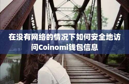 在没有网络的情况下如何安全地访问Coinomi钱包信息