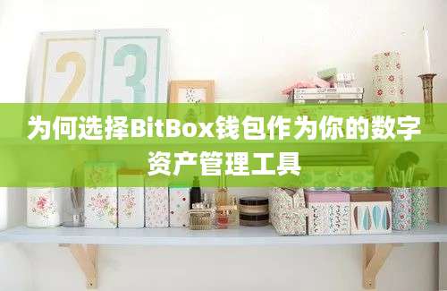 为何选择BitBox钱包作为你的数字资产管理工具