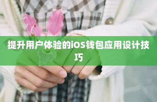 提升用户体验的iOS钱包应用设计技巧