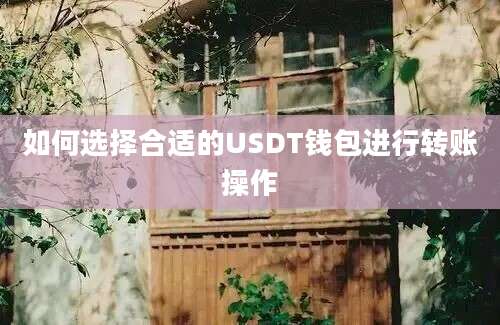 如何选择合适的USDT钱包进行转账操作