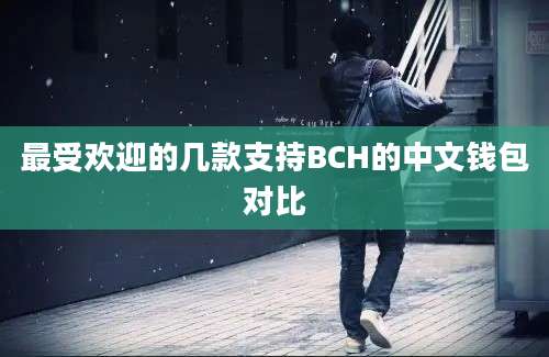 最受欢迎的几款支持BCH的中文钱包对比