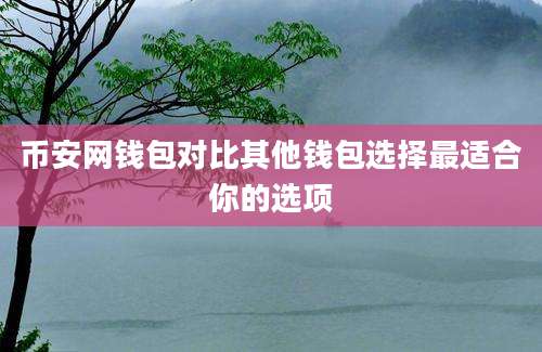 币安网钱包对比其他钱包选择最适合你的选项