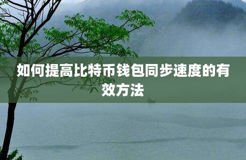 如何提高比特币钱包同步速度的有效方法