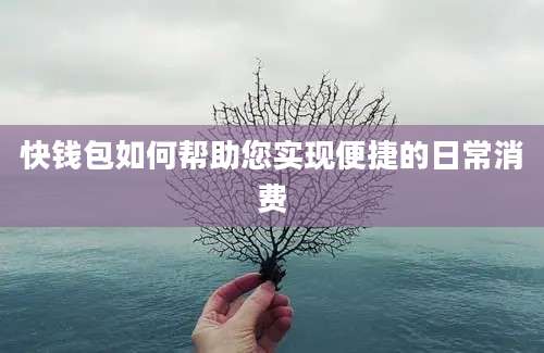 快钱包如何帮助您实现便捷的日常消费