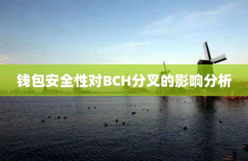 钱包安全性对BCH分叉的影响分析