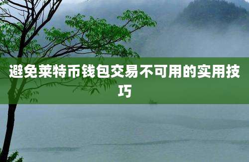 避免莱特币钱包交易不可用的实用技巧