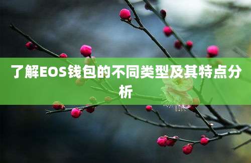 了解EOS钱包的不同类型及其特点分析