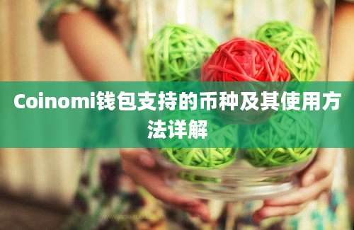 Coinomi钱包支持的币种及其使用方法详解