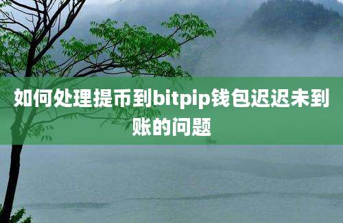 如何处理提币到bitpip钱包迟迟未到账的问题