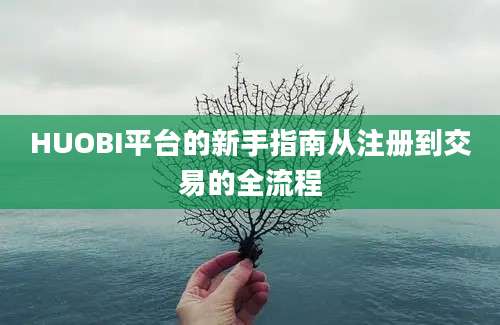 HUOBI平台的新手指南从注册到交易的全流程