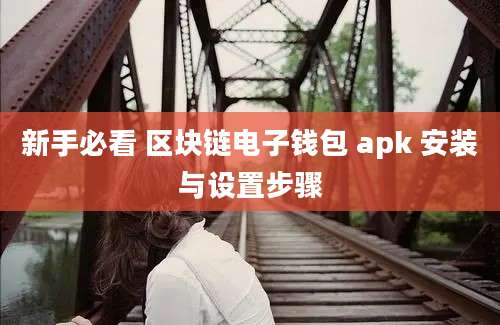 新手必看 区块链电子钱包 apk 安装与设置步骤