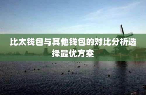 比太钱包与其他钱包的对比分析选择最优方案