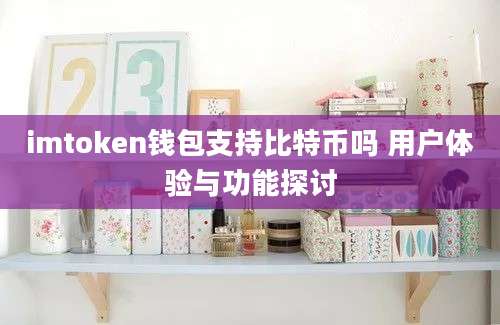 imtoken钱包支持比特币吗 用户体验与功能探讨