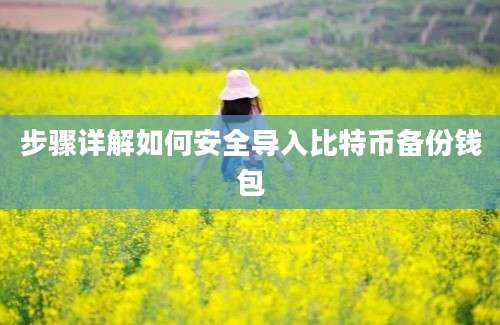 步骤详解如何安全导入比特币备份钱包