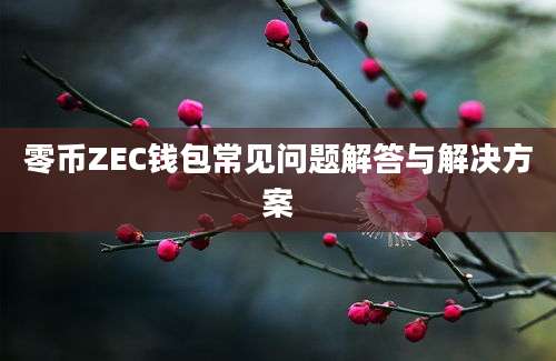 零币ZEC钱包常见问题解答与解决方案