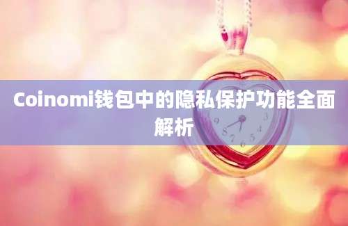 Coinomi钱包中的隐私保护功能全面解析