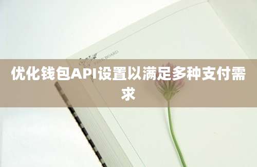 优化钱包API设置以满足多种支付需求