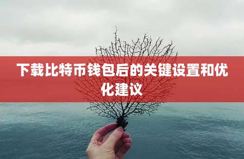 下载比特币钱包后的关键设置和优化建议