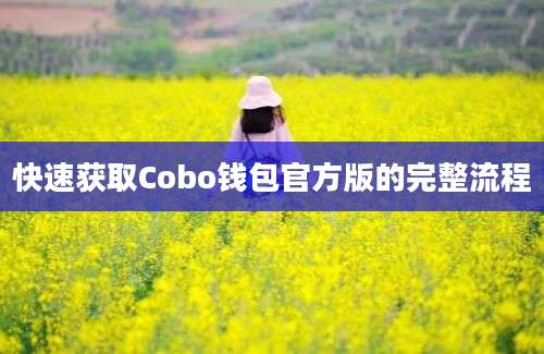 快速获取Cobo钱包官方版的完整流程