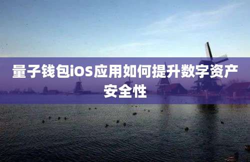 量子钱包iOS应用如何提升数字资产安全性