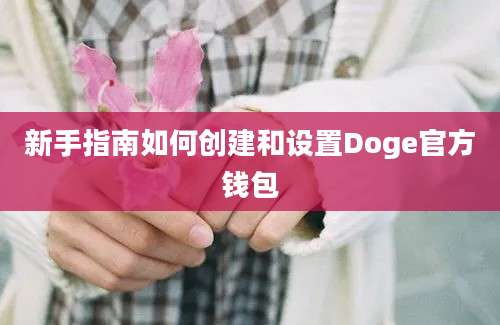 新手指南如何创建和设置Doge官方钱包