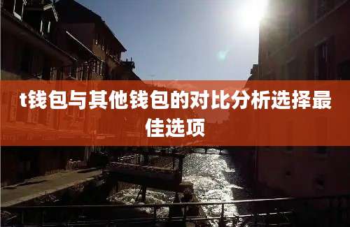 t钱包与其他钱包的对比分析选择最佳选项