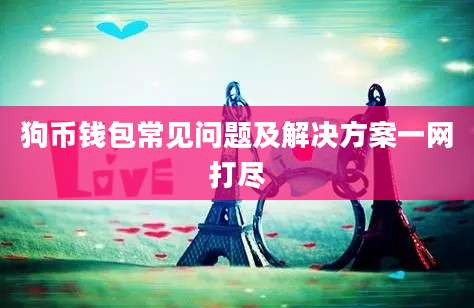 狗币钱包常见问题及解决方案一网打尽