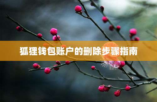 狐狸钱包账户的删除步骤指南