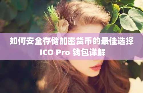 如何安全存储加密货币的最佳选择 ICO Pro 钱包详解