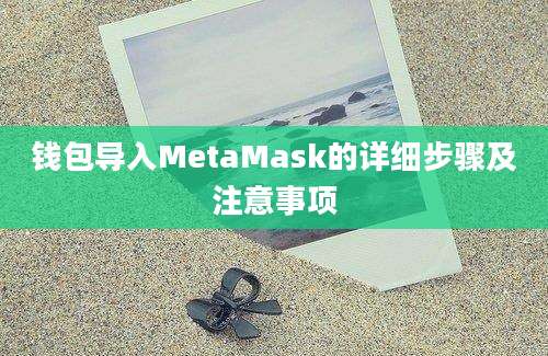 钱包导入MetaMask的详细步骤及注意事项