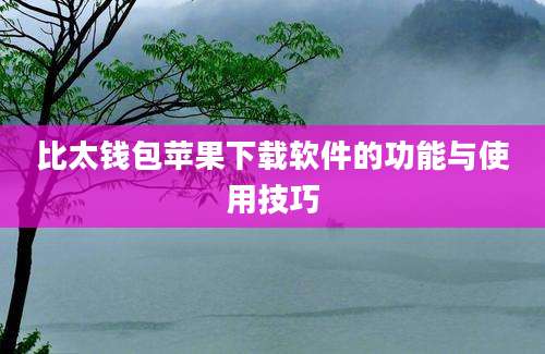 比太钱包苹果下载软件的功能与使用技巧