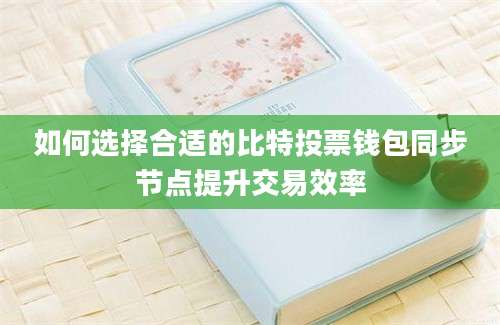 如何选择合适的比特投票钱包同步节点提升交易效率