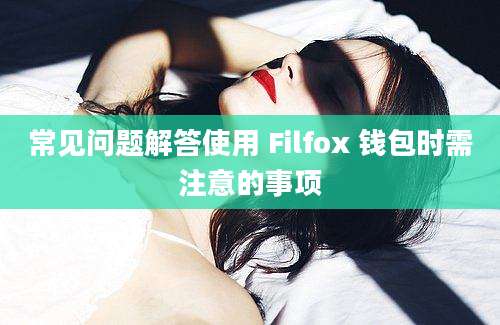 常见问题解答使用 Filfox 钱包时需注意的事项