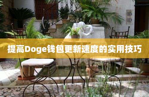 提高Doge钱包更新速度的实用技巧