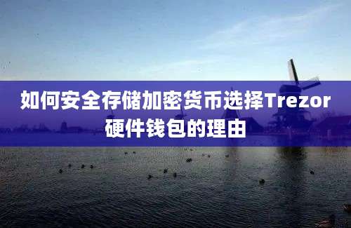 如何安全存储加密货币选择Trezor硬件钱包的理由