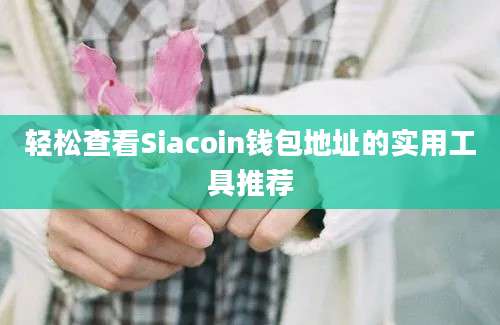 轻松查看Siacoin钱包地址的实用工具推荐