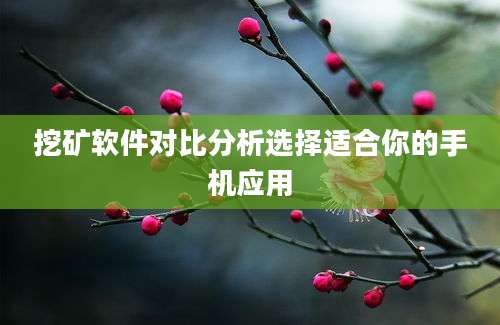 挖矿软件对比分析选择适合你的手机应用