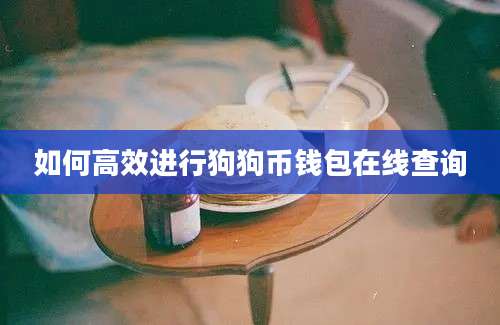 如何高效进行狗狗币钱包在线查询