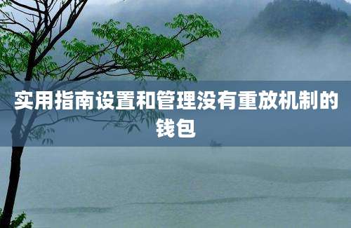 实用指南设置和管理没有重放机制的钱包