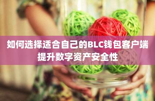 如何选择适合自己的BLC钱包客户端提升数字资产安全性