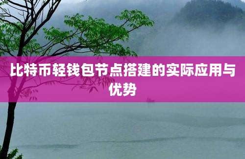 比特币轻钱包节点搭建的实际应用与优势